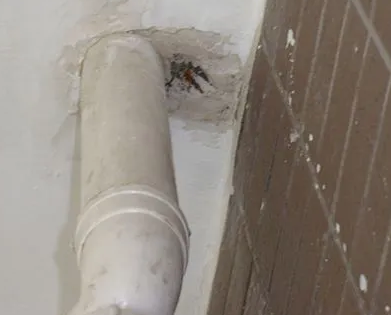 同江漏水检测哪家好